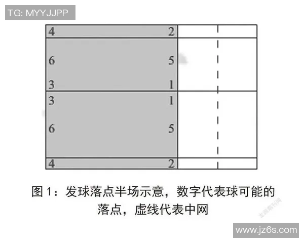 南京羽毛球队技术表现分析与提升策略探讨